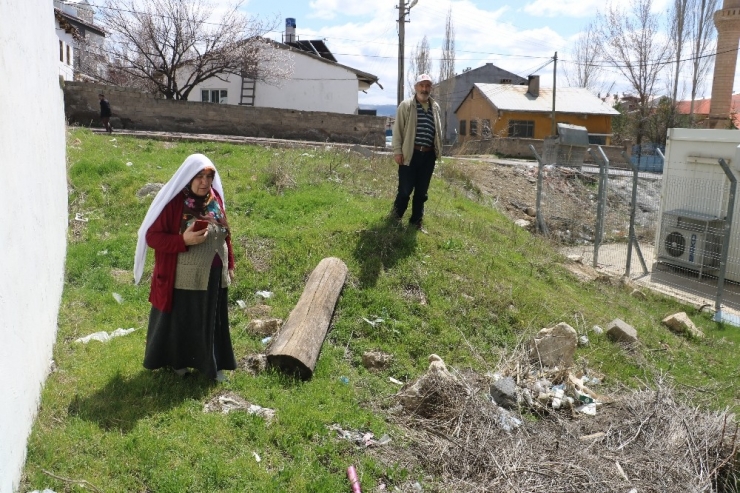 "10. Çocuğumuzdu" Dedikleri ‘Çınar’ İsimli Kediyi Arıyorlar