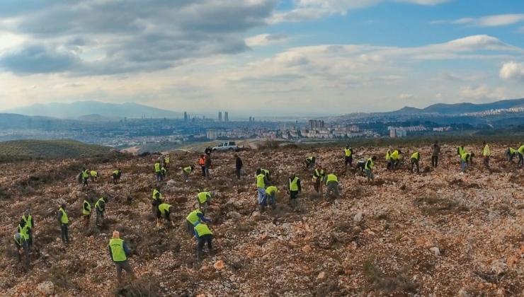 İzmir’e 10 Yılda 28 Milyon Adet Fidan