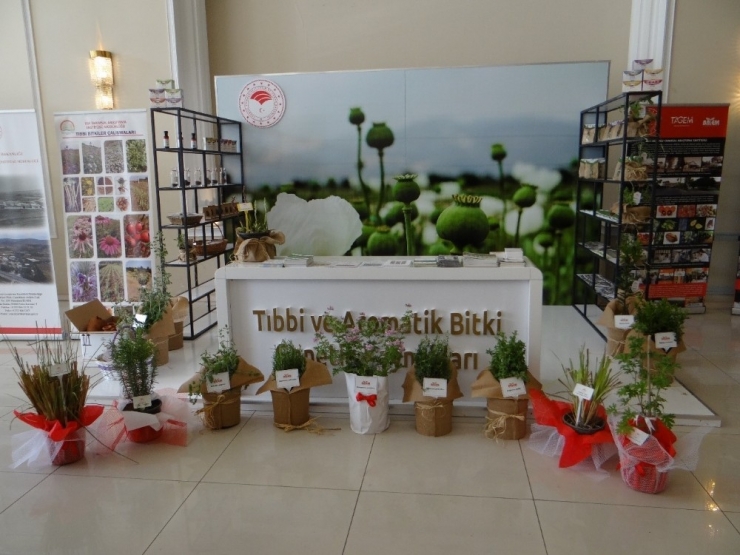 Tarımdan Covid-19 Türkiye Web Portalına Destek