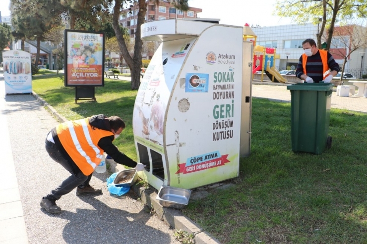 Atakum Sokak Canlılarını Unutmadı