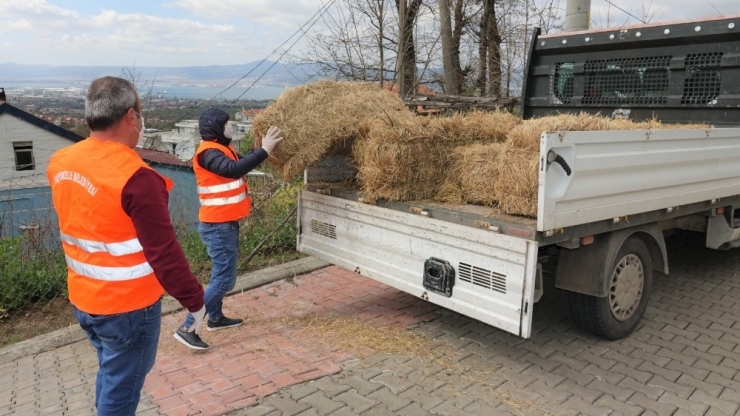 Başiskele Belediyesi 65 Yaş Üstü Vatandaşın Saman Talebini Karşıladı