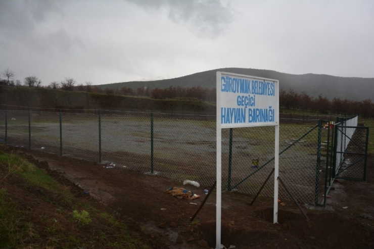 Kaymakam Sancaktutar, Geçici Hayvan Barınağında İncelemelerde Bulundu