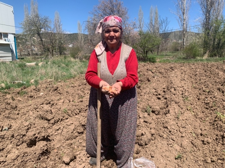 76 Yaşındaki Eşi Dışarı Çıkamadığı İçin Tarlasını Tek Başına Çapalayıp Ekiyor