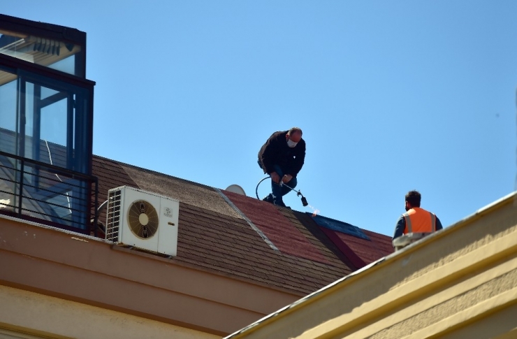Maske Takarak Ölüme Meydan Okudular