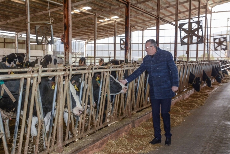 Başkan Özkan’dan Üreticilere Destek Ziyareti