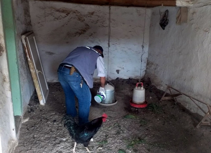 Karantina Altındaki Köydeki Tavukları Ve Köpeği İçin Cimer’e Başvurdu
