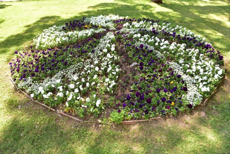 Dokumapark Çiçek Açtı