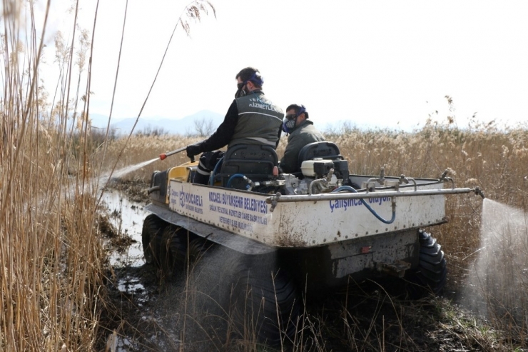 Büyükşehir Salgının Yanı Sıra Vektörle De Mücadele Ediyor