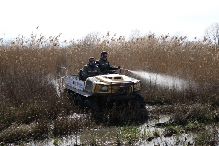 Büyükşehir Salgının Yanı Sıra Vektörle De Mücadele Ediyor