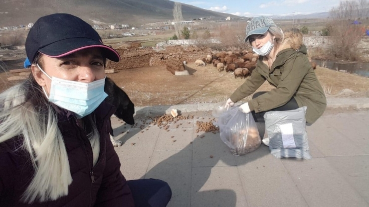 Sokak Hayvanlarına Çıldırlı Bayanlar Sahip Çıktı