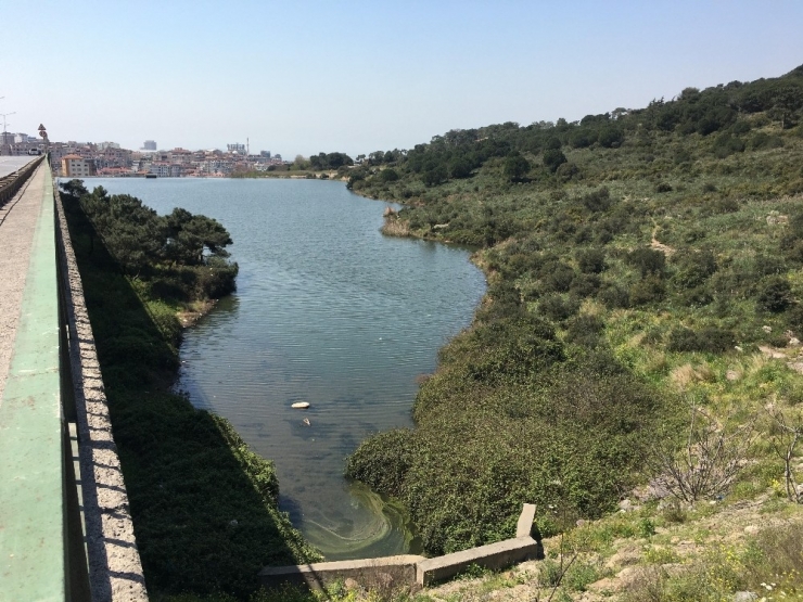 Maltepe’de İntihar: Eşiyle Boşanma Aşamasında Olan Adam Gölete Atladı