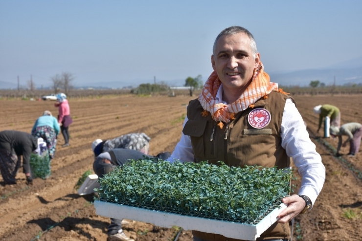 Tarımsal Ürün Alanlarına Yerinde İnceleme