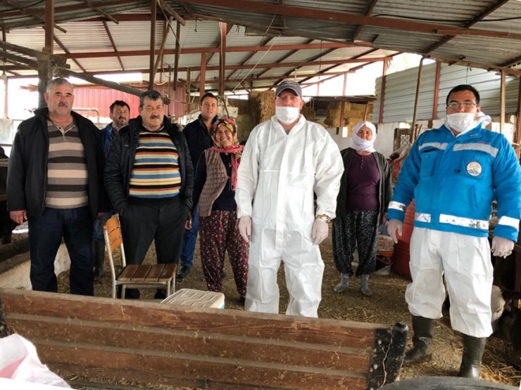 Milas’ta Aşılama Çalışmaları Devam Ediyor