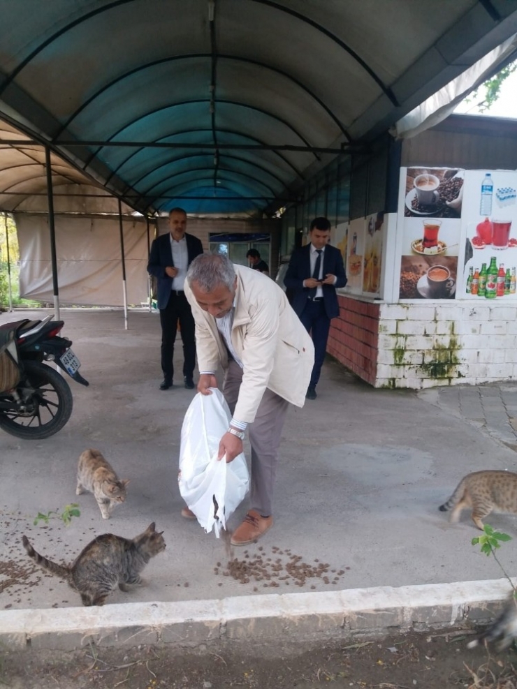 Ortaca’da Sokak Hayvanları Aç Ve Susuz Kalmıyor