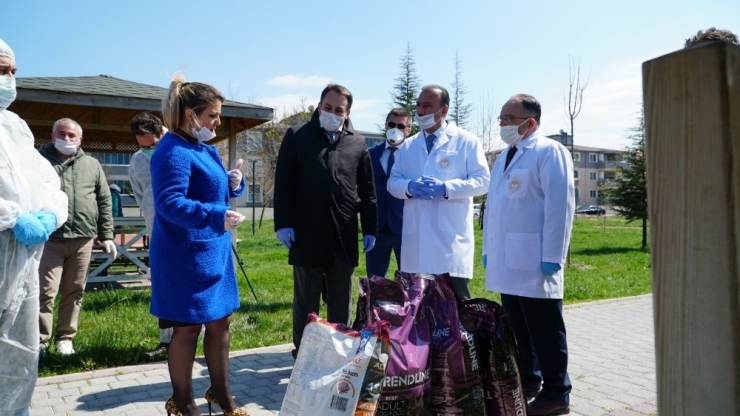 Mustafakemalpaşa’da Sokak Hayvanlarına Tam Destek