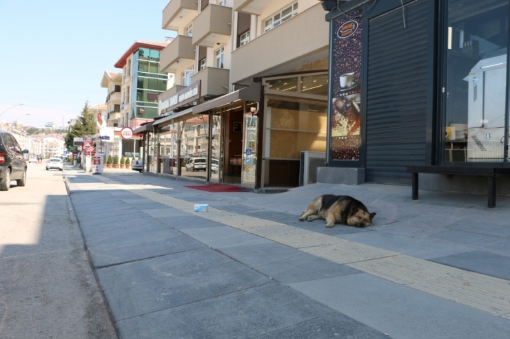 Gölbaşı’nda Cadde Ve Sokaklar Boş Kaldı
