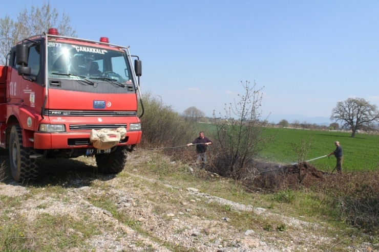Bayramiç’te Ot Yangını