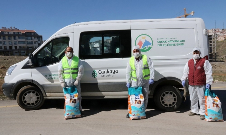 Çankaya’dan Can Dostlara Yardım Eli