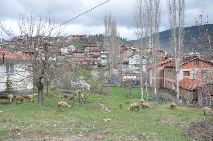 Yeşildere Köyü’nden Karantina Kaldırıldı