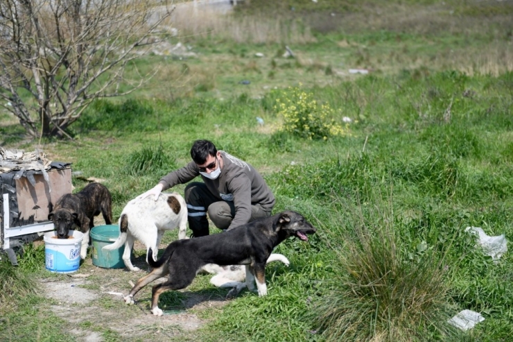 Esenyurt’ta Kapalı Kalması Gerek Börekçi Zabıta Ekiplerinin Denetimine Yakalandı