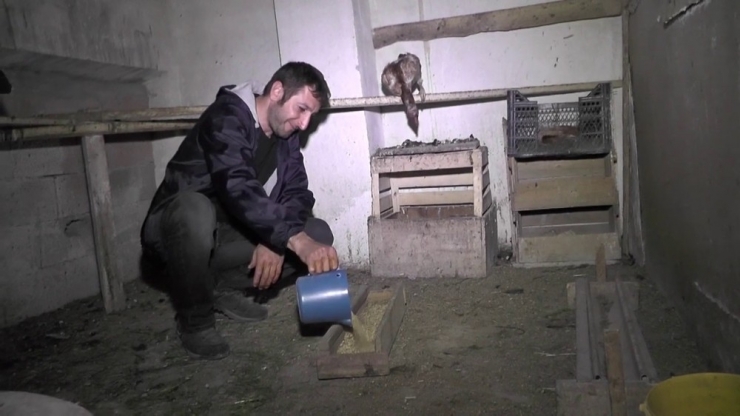 Sokağa Çıkma Yasağı Gelince Herkes Markete, O Hayvanlarına Koştu