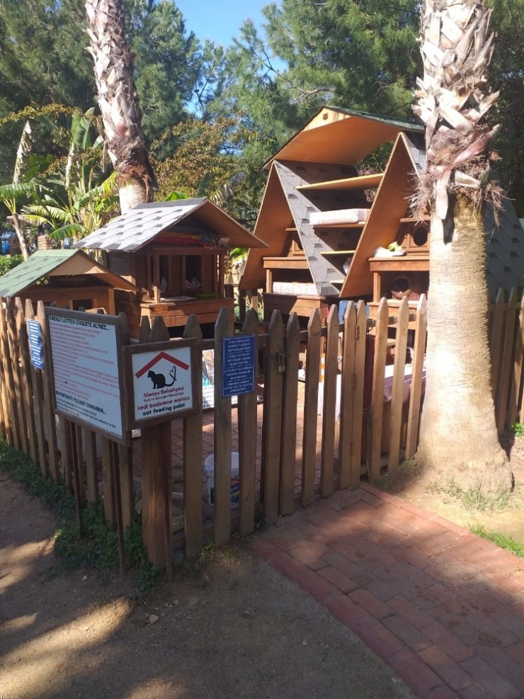 Alanya Belediyesi Sokak Hayvanlarını Unutmadı