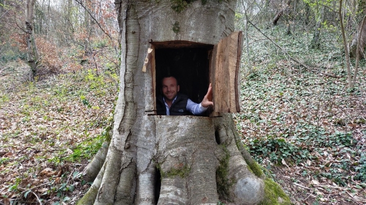 Çürük Ağaç Başına İş Açmıştı, O Vatandaş Konuştu: “Ağacı Oyduğumuzu İspat Etsinler, Kendimi O Ağaca Asarım”