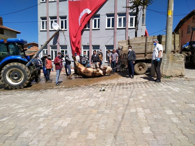 Korona Virüs Covid-19’dan Kurtulmak İçin Kurban Kesip Dua Ettiler