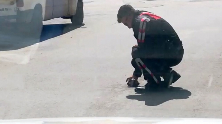 Polis Memurunun Kaplumbağa Duyarlılığı