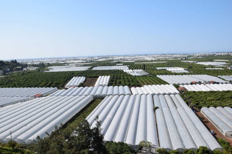 Antalya’da Çiftçi Üretime Ara Vermedi