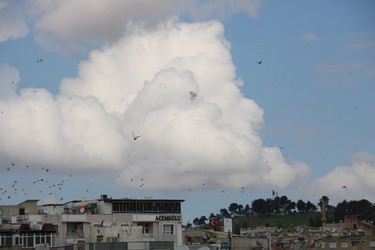 Şanlı Kurtuluşun 100. Yılında 100 Top Atışı