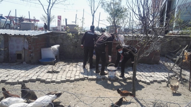 Tavukları İçin 112’den Yem İstedi