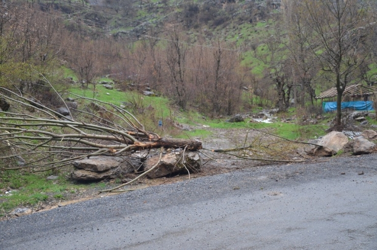 Şırnak’ta Piknikler Yasaklandı