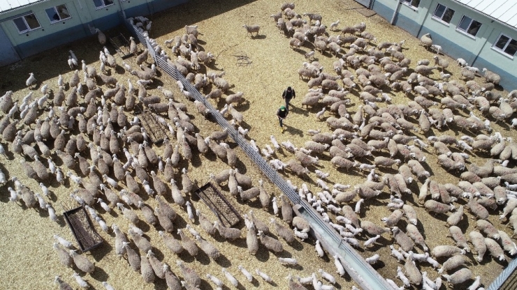 Ana Kuzuları Böyle Görüntülendi