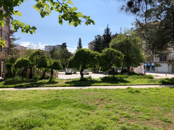 Kızıltepe’de Sokağa Çıkma Yasağının Ardından Caddeler Sessizliğe Büründü