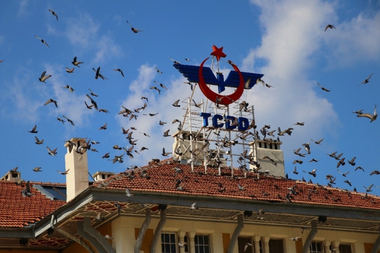 Adana’nın Meydanları Güvercinlere Kaldı