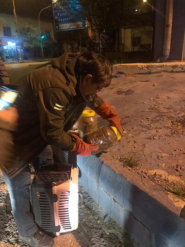 Turşu Bidonundan Sincap Çıktı