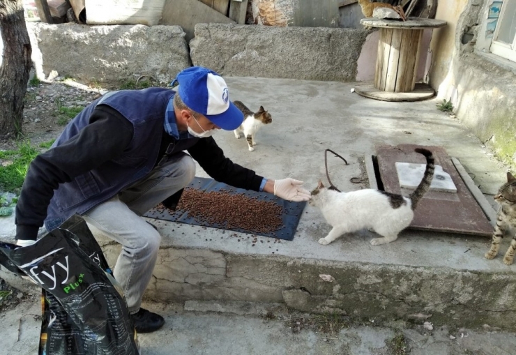 Altındağ Belediyesi Sokağa Çıkma Yasağında Vatandaşların Acil İhtiyaçlarını Temin Etti