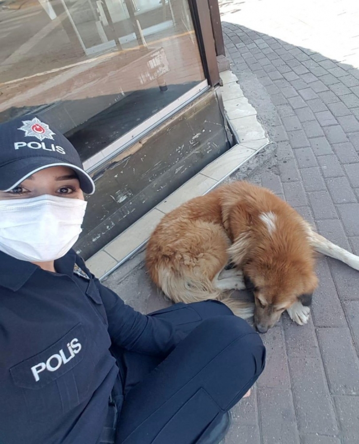 Polis Memurundan İç Isıtan Kareler