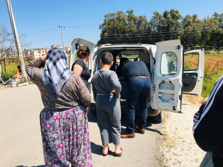 Muhtardan Ekmek Seferberliği