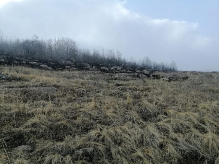 Ardahan’da Orman Yangını Kontrol Altına Alındı