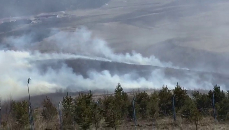 Ardahan’da Orman Yangını