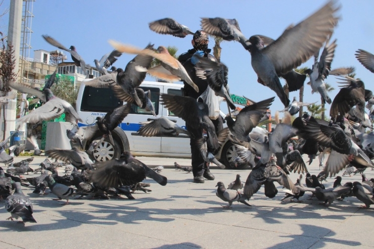Boşalan Sahillerde Kalan Kuşlara Polisler Sahip Çıktı
