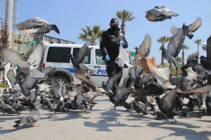 Boşalan Sahillerde Kalan Kuşlara Polisler Sahip Çıktı