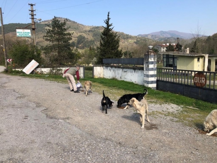 Doğaya Yem Ve Su Bırakıldı