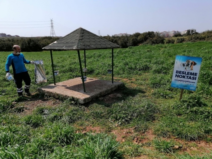 Başakşehir’de Sokak Hayvanları Unutulmadı