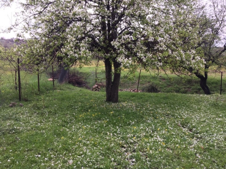 Gercüş’te Ceviz Büyüklüğünde Dolu Yağdı