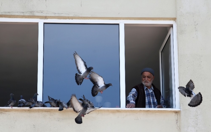 Bursa’da Sokağa Çıkamayan 78 Yaşındaki Hasan Amca, Penceresine Konan Güvercinleri Besledi
