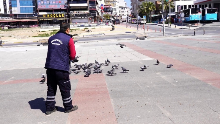 Çekmeköy Belediyesi Ekipleri Kuşları Ve Sokak Hayvanlarını Besledi
