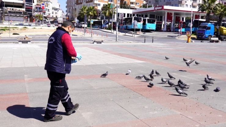 Çekmeköy Belediyesi Ekipleri Kuşları Ve Sokak Hayvanlarını Besledi